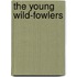 The Young Wild-Fowlers
