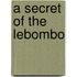 A Secret Of The Lebombo