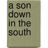 A Son Down in the South door Jr. Davied E. Kelley