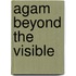 Agam Beyond The Visible