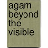 Agam Beyond The Visible by Sayako Aragaki