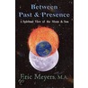 Between Past & Presence door Eric A. Meyers