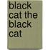 Black Cat the Black Cat