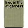 Fires in the Wilderness by Jeffery L. Schatzer