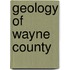 Geology Of Wayne County