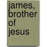 James, Brother Of Jesus door Pierre-Antoine Bernheim