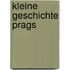 Kleine Geschichte Prags
