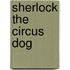 Sherlock the Circus Dog