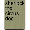 Sherlock the Circus Dog door Angelo Alyssa