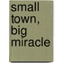 Small Town, Big Miracle
