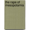 The Rape Of Mesopotamia door Lawrence Rothfield