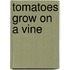 Tomatoes Grow On A Vine