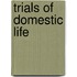 Trials of Domestic Life