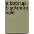 A Boot Up Blackmore Vale