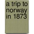 A Trip To Norway In 1873