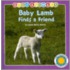 Baby Lamb Finds a Friend