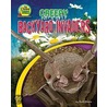 Creepy Backyard Invaders by Ruth Owen