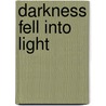 Darkness Fell Into Light by Barbara Joas