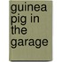 Guinea Pig In The Garage
