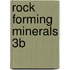 Rock Forming Minerals 3b