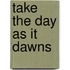 Take the Day as It Dawns