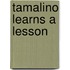 Tamalino Learns A Lesson