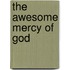 The Awesome Mercy of God
