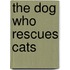 The Dog Who Rescues Cats