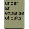 Under an Expanse of Oaks door David Smith