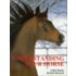 Understanding Your Horse