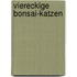 Viereckige Bonsai-Katzen