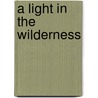 A Light in the Wilderness by James D. Snyder