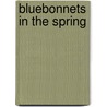 Bluebonnets in the Spring door Roberta Riney