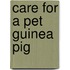 Care for a Pet Guinea Pig