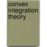 Convex Integration Theory door Wilber Smith