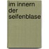 Im Innern der Seifenblase