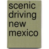 Scenic Driving New Mexico door Laurence Parent