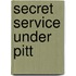 Secret Service Under Pitt