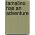 Tamalino Has An Adventure