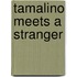Tamalino Meets A Stranger