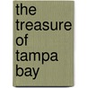The Treasure of Tampa Bay door Joe Reich Colonel