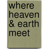 Where Heaven & Earth Meet door Xu Bing