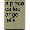A Place Called Angel Falls door Robin Lynn Grasso