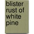 Blister Rust Of White Pine