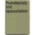 Hundeplatz mit Spassfaktor