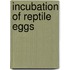 Incubation Of Reptile Eggs