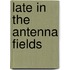 Late in the Antenna Fields