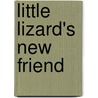 Little Lizard's New Friend by Melinda Melton Crow