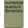 Numerical Quantum Dynamics door Wolfgang Schweizer