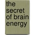 The Secret of Brain Energy